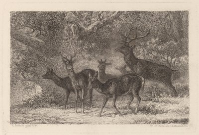 flokken av Karl Bodmer
