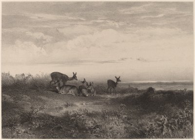 hjort av Karl Bodmer