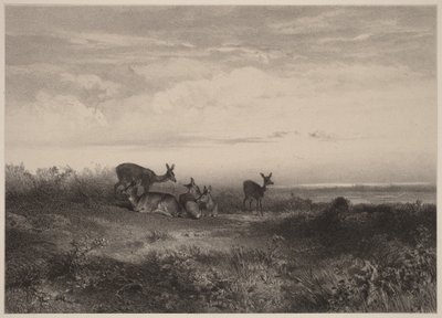  av Karl Bodmer