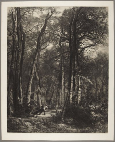 Mann i skogen av Karl Bodmer