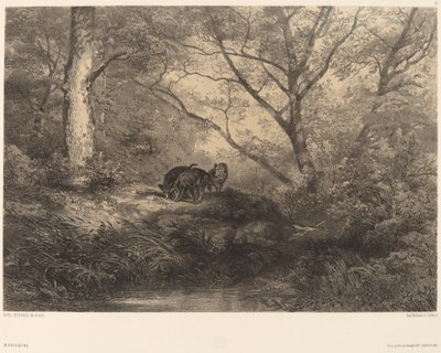 Marcassins av Karl Bodmer