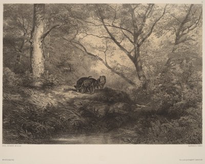  av Karl Bodmer