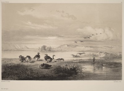  av Karl Bodmer
