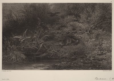  av Karl Bodmer