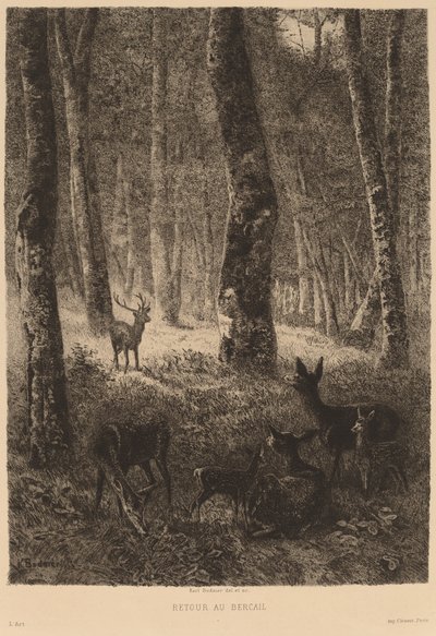 Hjemme igjen av Karl Bodmer
