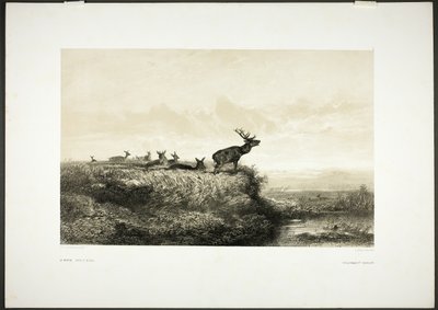  av Karl Bodmer