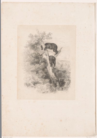 To bjørner i et tre Landskap med dyr (serietittel) av Karl Bodmer