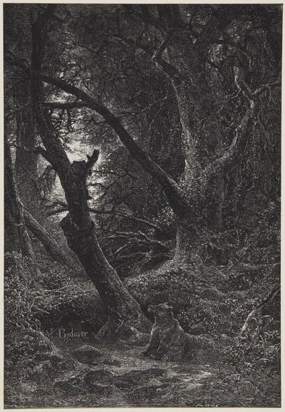  av Karl Bodmer