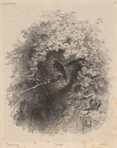 Et tilfluktsrom, 1858. av Karl Bodmer