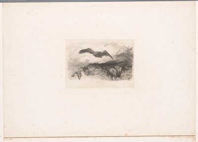flygende ørn Landskap med dyr (serietittel) av Karl Bodmer