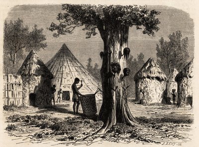 Krigens tre, i en landsby Djour, Bahr-el-Gazal-regionen, Sudan, tegning av Karl Girardet (1813-1871) for å illustrere reisen til elven til gasellene i A. Bolognesi, i 1856-1857. Gravering i "" Le tour du monde"", redigert av Edouard Charton av Karl Girardet