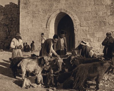 Jerusalem, marked ved Herodes port (s/hvitt bilde) av Karl Grober