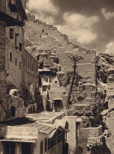 Mar Saba, Palm of St Sabas (s/hvitt bilde) av Karl Grober