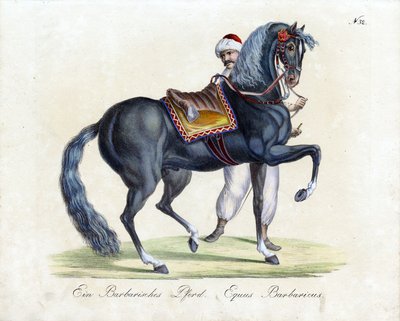  av Karl Joseph Brodtmann