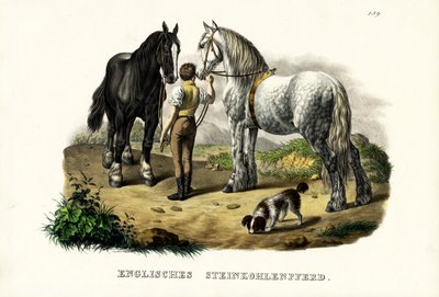 English Pit Horse, 1824 av Karl Joseph Brodtmann