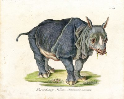  av Karl Joseph Brodtmann