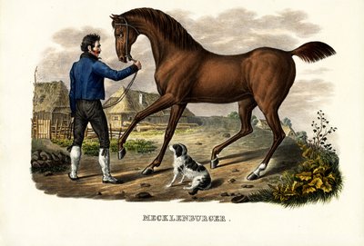 Mecklenburger Horse, 1824 av Karl Joseph Brodtmann
