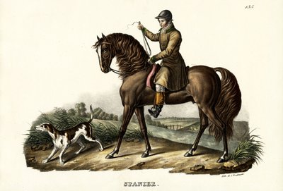 Spansk jegerhest, 1824 av Karl Joseph Brodtmann