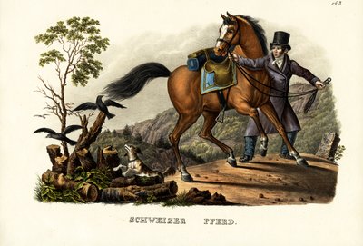 Sveitsisk hest, 1824 av Karl Joseph Brodtmann