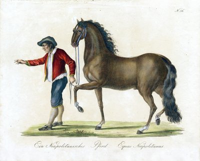  av Karl Joseph Brodtmann
