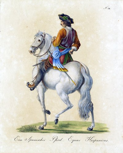  av Karl Joseph Brodtmann
