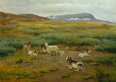 Geiter på gress av Karl K. Uchermann