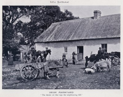 Irish Farmyard (s/hvitt bilde) av Karl Karlovich Piratsky