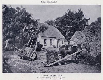 Irish Farmyard (s/hvitt bilde) av Karl Karlovich Piratsky