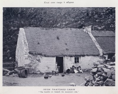 Irish Thatched Cabin (b/w photo) av Karl Karlovich Piratsky