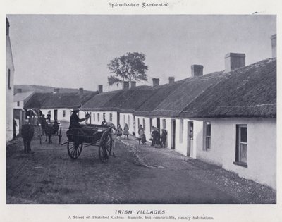 Irish Villages (s/hvitt bilde) av Karl Karlovich Piratsky