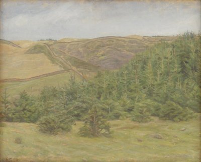 Svanninge Hills, Fyn av Karl Schou
