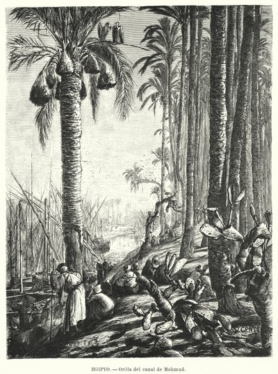 Bankene til Mahmoudiyah-kanalen, Egypt (litho) av Karl Wilhelm Gentz