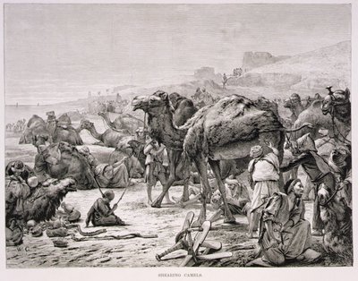 Klipp av kameler av Karl Wilhelm Gentz