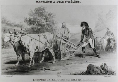 Napoleon (1769-1821) på St. Helena, gravert av Francois le Villain (fl.1819-22) av Karl after Loeillot Hartwig
