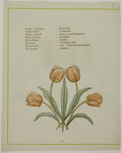 Dekorativ illustrasjon, fra The Illuminated Language of Flowers av Kate Greenaway