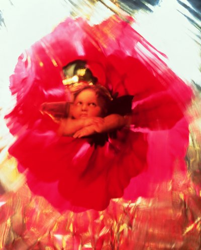 Angel og Poppy av Katherine Fawssett