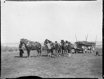 Broomfield, Broomfield And Kingswood, Maidstone, Kent, 06/04/1904 (s/hvitt-bilde) av Katherine Jean Macfee