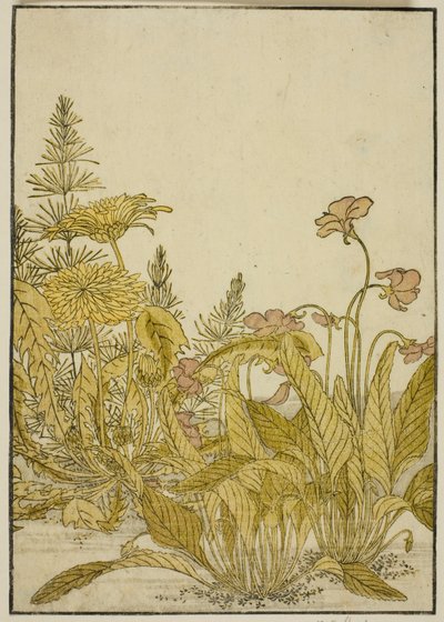 Spring Flowers: Violets and Dandelions, fra boken "Mirror of Beautiful Women of the Pleasure Quarters (Seiro bijin awase sugata kagami)," vol. 1 av Katsukawa Shunsho