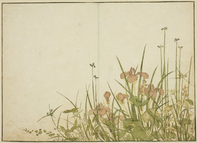 Summer Flowers: Irises and Water Plantains, fra boken "Mirror of Beautiful Women of the Pleasure Quarters (Seiro bijin awase sugata kagami)," vol. 1 av Katsukawa Shunsho
