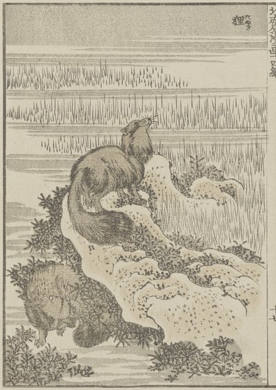 Grevling, c. 1840 (treblokktrykk) av Katsushika Hokusai