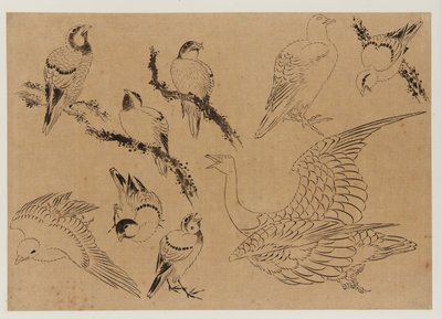 Fugler, Edo-perioden, slutten av 1700-begynnelsen av 1800-tallet. av Katsushika Hokusai