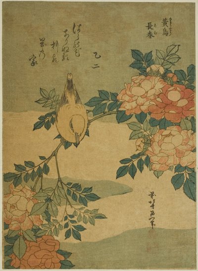 Bush Warbler and Rose (Kocho, bara), fra en serie med blomster og fugler uten tittel av Katsushika Hokusai