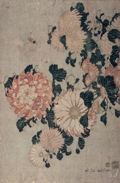 Krysantemum (farget treblokk) av Katsushika Hokusai