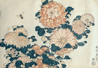 Krysantemum (farget treblokktrykk) av Katsushika Hokusai