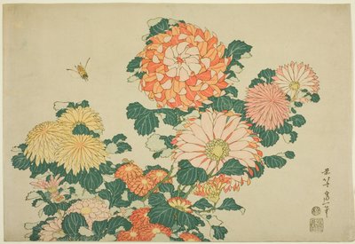 Chrysanthemums and Bee, fra en serie med store blomster uten tittel av Katsushika Hokusai