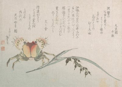 Krabbe- og risplante, 1800-tallet. av Katsushika Hokusai