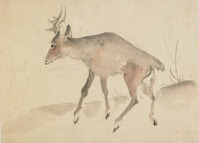 Hjort, slutten av 1700-begynnelsen av 1800-tallet. av Katsushika Hokusai