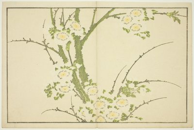 Blomster, fra The Picture Book of Realistic Paintings of Hokusai (Hokusai shashin gafu) av Katsushika Hokusai