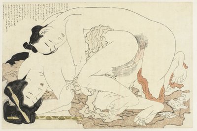 Gift kvinne med kjæreste Adonis-planten (serietittel) Fukujuso (serietittel) av Katsushika Hokusai