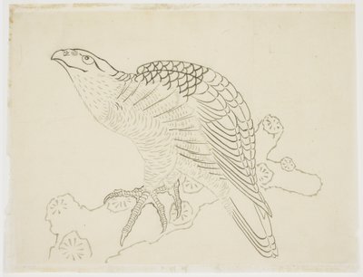 Hawk on a Branch (studie) av Katsushika Hokusai